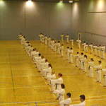 Black and Brown Belt Course Hendon 2006